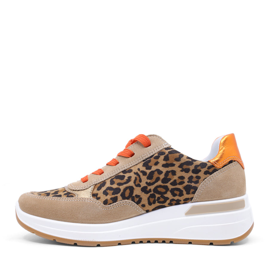 ARA GARDA_AI