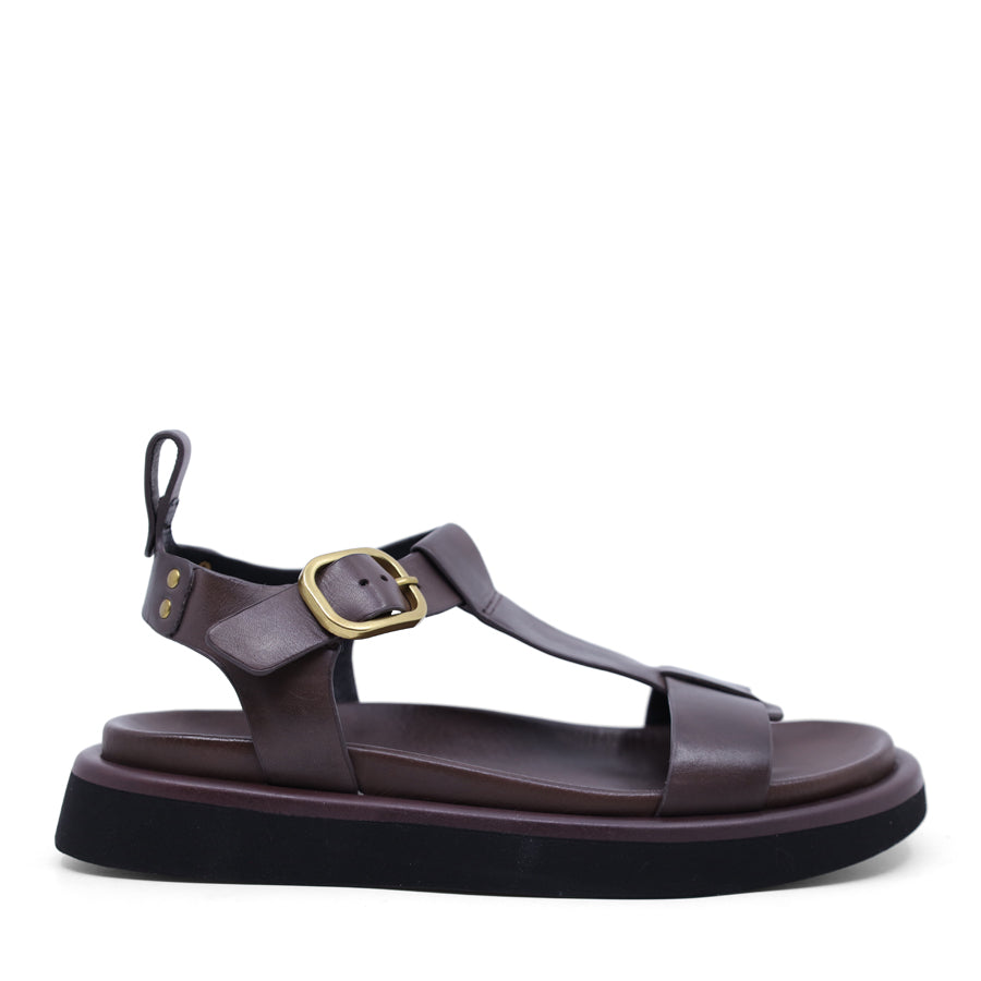 CHESTNUT BROWN T BAR GOLD BUCKLE SANDAL
