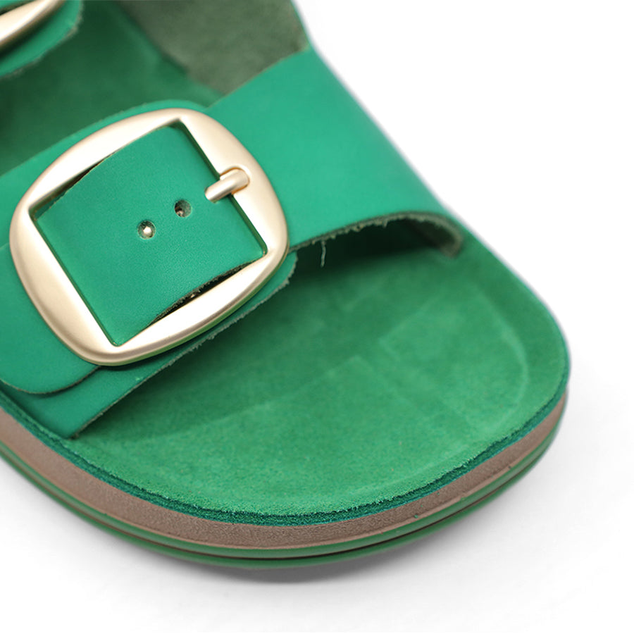 GREEN TWO STRAP GOLD BUCKLE SLIDE SANDAL