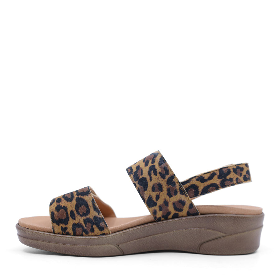 brown leopard print leather velcro sandal with a buckle strap and a flat sole.