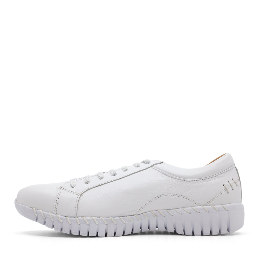 side view of white lace up sneaker with side zip