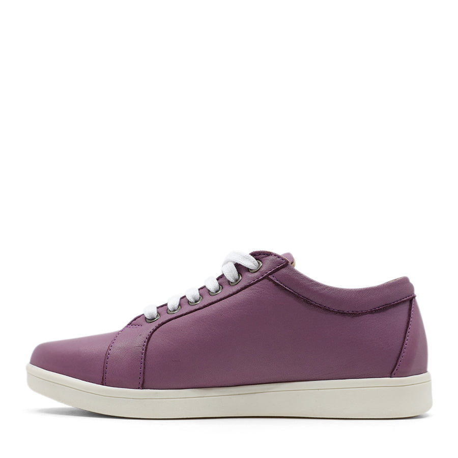 SKIN PURPLE LACE UP ZIP UP SNEAKER