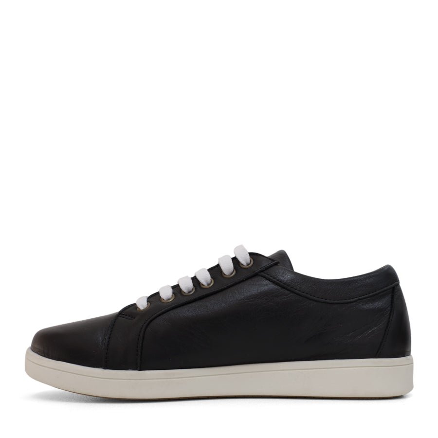 BLACK LACE UP ZIP UP SNEAKER