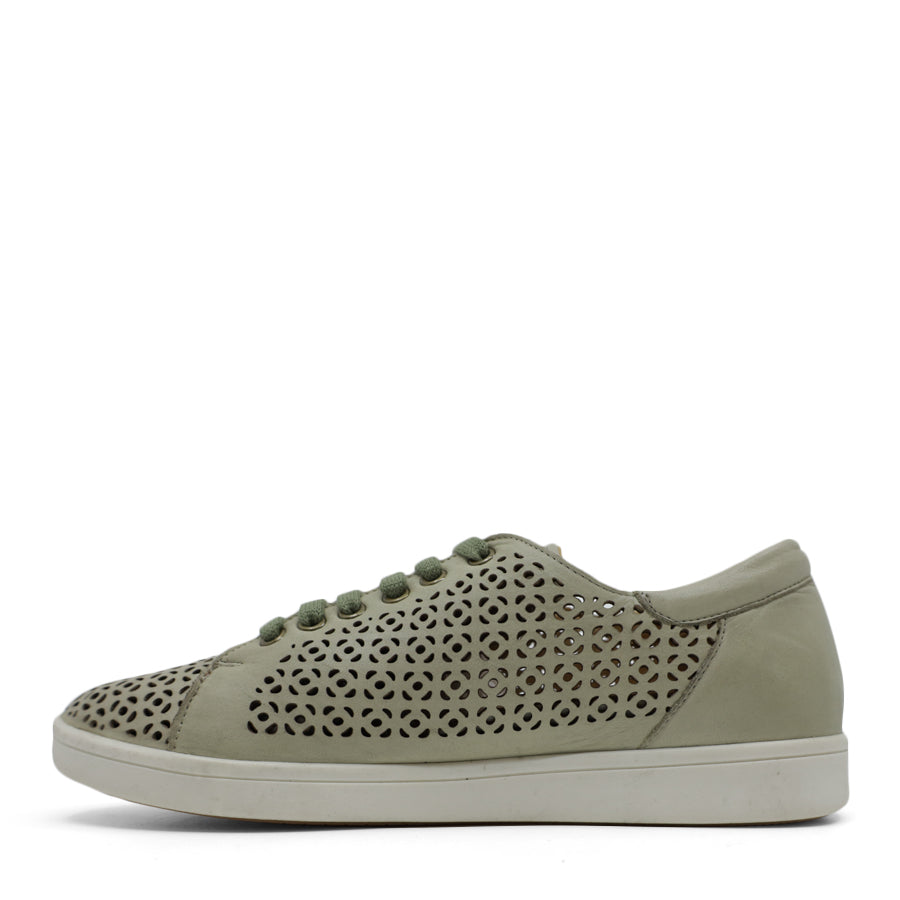BAMBOO GREEN PUNCHED LEATHER LACE UP SNEAKER
