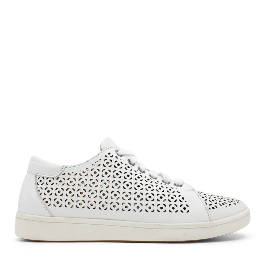 WHITE PUNCHED LEATHER LACE UP SNEAKER