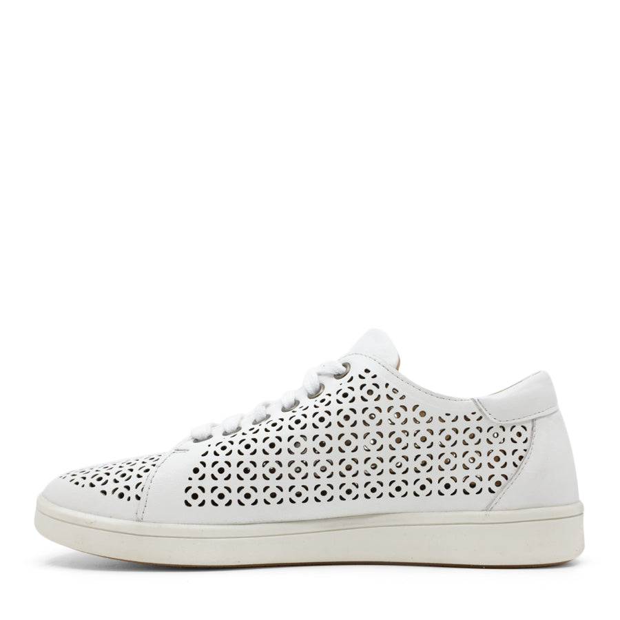 WHITE PUNCHED LEATHER LACE UP SNEAKER